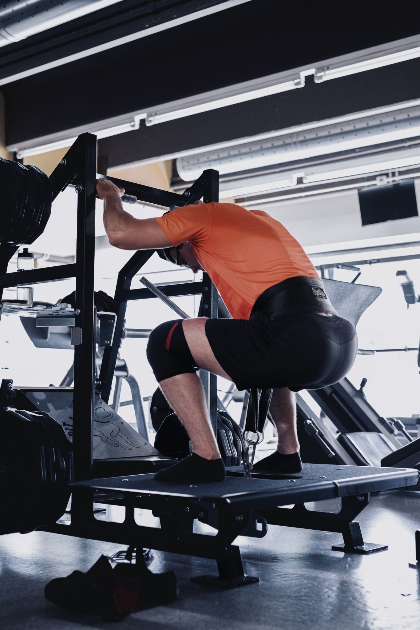 Pit Shark belt squat in sala pesi