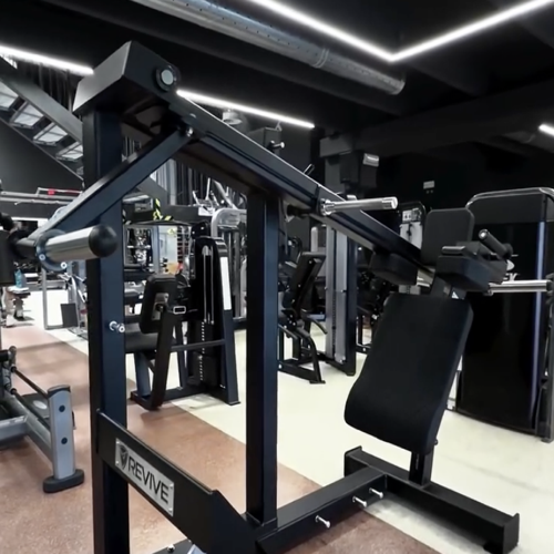 Revive Pendulum Squat, il fiore all’occhiello della sala di Evolution